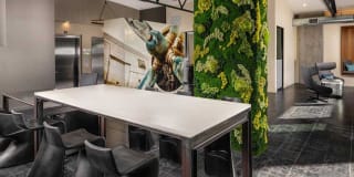 AV8 Gallery 13