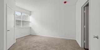 Avana Lexington Gallery 39