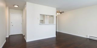 Cordova Apartments Gallery 15