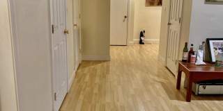 10 Strathmore Rd. Gallery 3