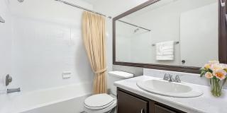 Millenium Cove Gallery 7