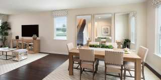 Contemporary Luxury in Austin’s 51 East Community | Stylish Living at 5301 Cobalt Canopy Bend Gallery 4