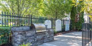 Magnolia at Milton Gallery 14