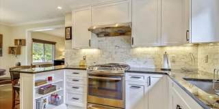 Urban Oasis in Takoma Park - 7407 Wildwood Dr, Takoma Park, MD 20912 Gallery 4