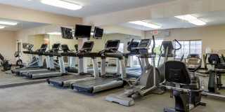 Houston – IAH Airport Gallery 19