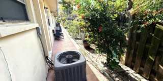 4649 Bougainvilla Drive Gallery 10