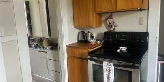 PRELEASE: Spacious 6+ bdrm/2 bath in York Neighborhood Gallery 9