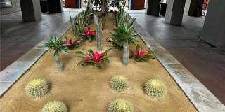 238 S Arroyo Parkway Gallery 32