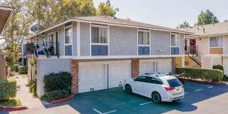 527 Spring Road Gallery 29