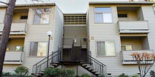 The Ridge Gallery 12