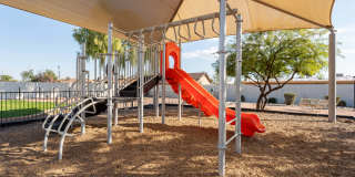 Renaissance Gallery 40