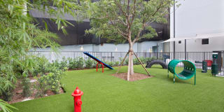 10X Las Olas Walk 10X Las Olas Walk Gallery 36