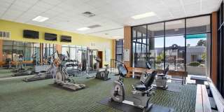 Portola West Vegas Gallery 6