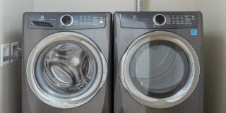 The Merian Gallery 77