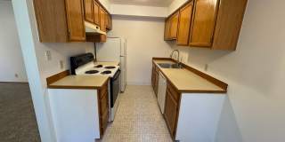 Brighton North Gallery 10