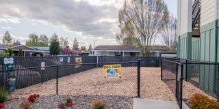 Birch Place Apartments Gallery 6