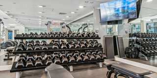 Trademark Gallery 22