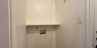 Viewable Now!  1 Dog Limit! Gallery 17