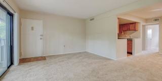 Rollingwood Gallery 17