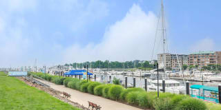 Summer House Gallery 17