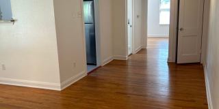 Enfield Heights Gallery 12