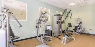 Tiffany II Gallery 4