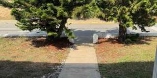 46 S OLEANDER AVE Gallery 1