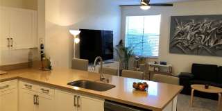 1113 Tupelo Way Gallery 6