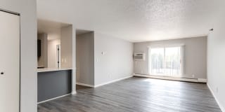 White Pines Gallery 25