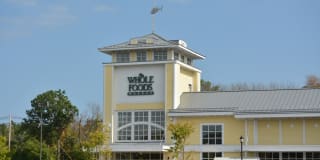 The Mastlight Gallery 23