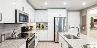 Insignia On M Gallery 48