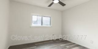 15410 Wood Sorrel Gallery 25