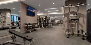 The Hale Gallery 22