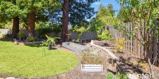 Beautiful 4 Bed / 3 Bath Bollinger Hills Home with Gorgeous Remodeled Kitchen! Gallery 8
