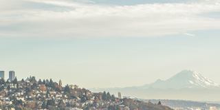 Arrive Magnolia Gallery 77