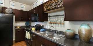 Waterline Estero Gallery 20