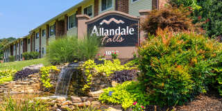 Allandale Falls Gallery 21