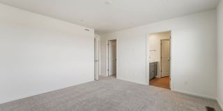 Brand New 3 Bed Townhome in Timnath Ranch Gallery 17