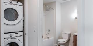 Essence Essence Gallery 46