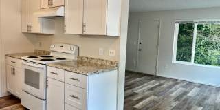 Bergen Apartments Gallery 16