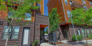 Hamilton and Eliza Gallery 8