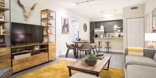 Shalimar at Davie Gallery 3