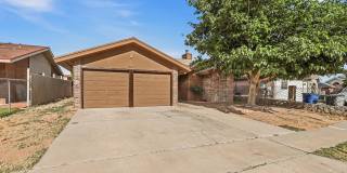 10902 YOGI BERRA Circle Gallery 6