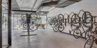 The Morton Gallery 14