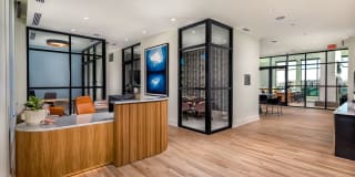 Revel Gallery 17