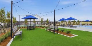 Springwood Townhomes Gallery 25