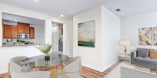 Saratoga Downs at Sheveland Ranch Gallery 2
