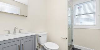 77 Winchester St Gallery 20