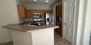 SAN TAN RANCH SINGLE LEVEL 4 BEDROOM WITH NEW FLOORING THROUGHOUT SAN TAN RANCH SINGLE LEVEL 4 BEDROOM WITH NEW FLOORING THROUGHOUT Gallery 12