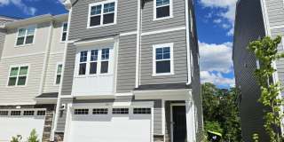 601 Tova Falls Drive 601 Tova Falls Drive Gallery 1